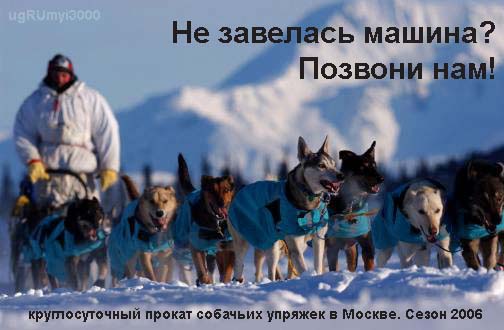 06012001.jpg -�� �������� ������? ����� ����! (��� ��������� ���������� ����������� � ��������)